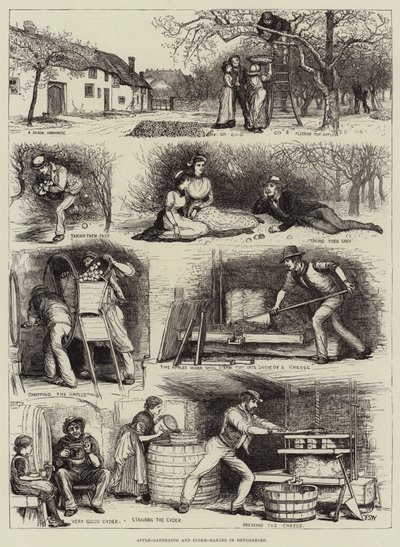 Recolección de manzanas y elaboración de sidra en Devonshire de Francis S. Walker